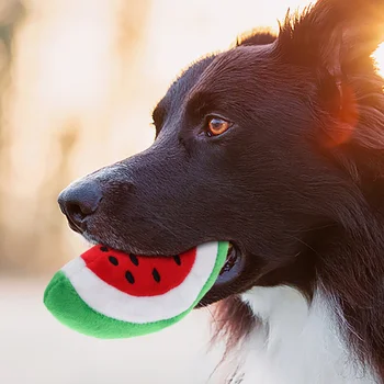 4 Pçs Pelúcia Brinquedos Do Animal De Estimação Acessórios Decorativos Mordida De Cão Jogar Filhote De Cachorro De Pelúcia Interativa Mastigar Squeaky Cães De Dentição