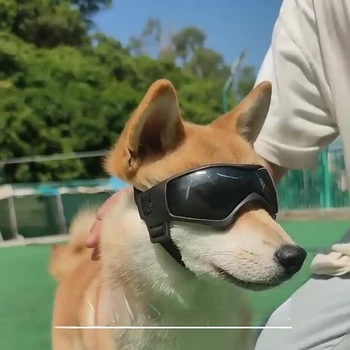 Novo animal de Estimação Legal Óculos de Proteção UV Suave Cão Óculos de proteção Óculos de sol Cão de Suprimentos